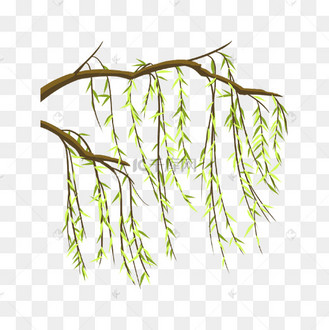 手绘柳条图片_手绘柳条设计图片素材大全-千库网