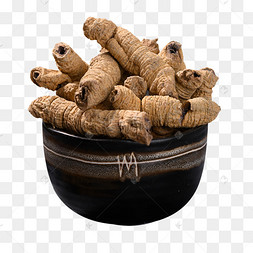 复古风中药材巴戟天