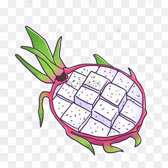 卡通手绘半个切开的火龙果png免抠素材