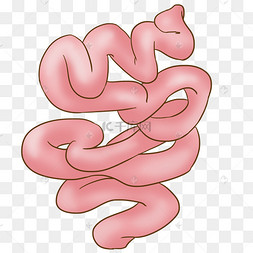 卡通红色器官肠子