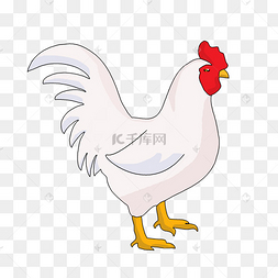 png下载psd家禽公鸡下载 png下载psd公鸡溜达鸡下载 png下载psd卡通