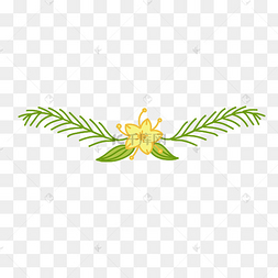 藤蔓黄色小花装饰花边