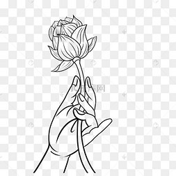 线描佛手莲花