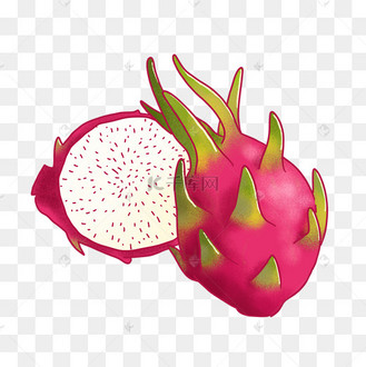 白色火龙果图片_白色火龙果设计图片素材大全-千库网