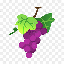 手绘紫色葡萄水果卡通