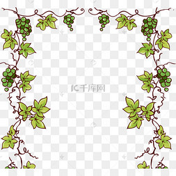 手绘葡萄藤边框绿色
