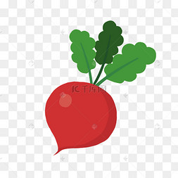 手绘卡通红萝卜蔬菜手绘