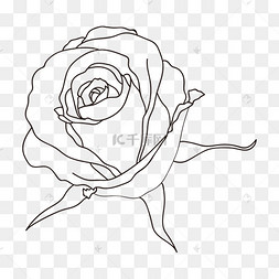 png下载ai线描玫瑰花下载 png下载psd玫瑰花图案黑白线稿爱心形状下载