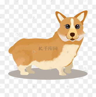 京狗图片_京狗设计图片素材大全-千库网