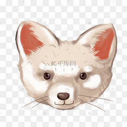 可爱小狐狸狗狗萌化了