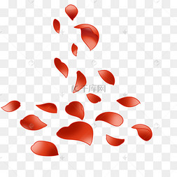 手绘玫瑰花瓣插画