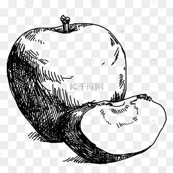 线描苹果手绘插画