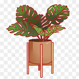 手绘铁树盆栽插画
