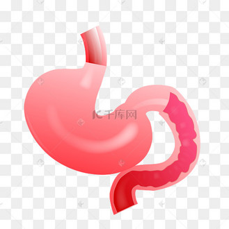 红色的胃蠕动
