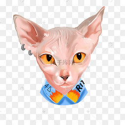 可爱的埃及猫插画