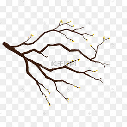 树杈冬天图片-树杈冬天图片素材免费下载-千库网