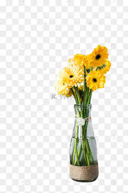 花瓶里的弗朗花