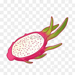 卡通手绘半个切开的火龙果png免抠