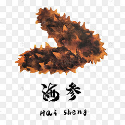 手绘彩色海味海参装饰画