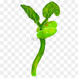 卡通手绘绿豆芽免抠图