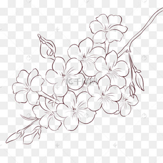 线描花枝花开迎春花