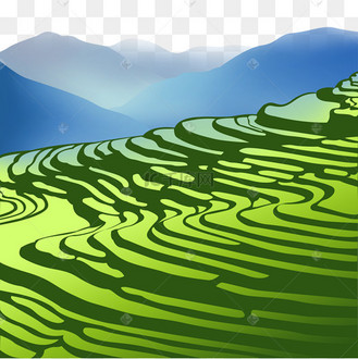 绿色稻田梯田
