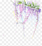 紫藤花图片 紫藤花图片素材免费下载 千库网 紫藤花图片 紫藤花图片素材免费下载 千库网