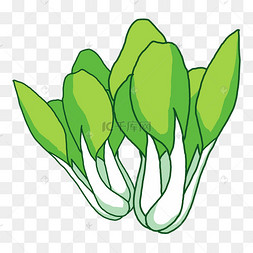 小白菜矢量插画蔬菜食材小白菜卡通卡通拟人化蔬菜食材小白菜免抠图蔬