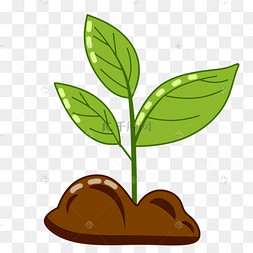 下载 png下载psd藕片生长黄色藕卡通下载 png下载psd豆芽植物种子发芽