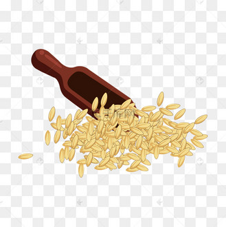 手绘粮食大米插画