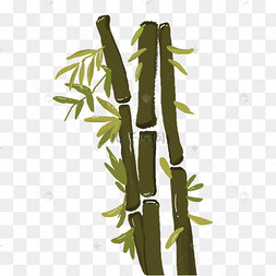 卡通精美清新竹子