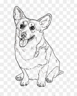 黑白线条手绘小狗装饰图