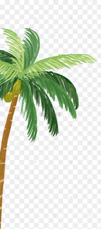 手绘卡通一棵椰子树元素