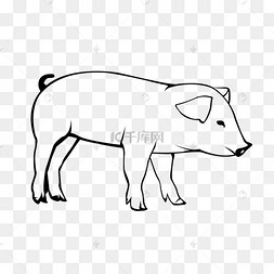 黑色线猪简笔画