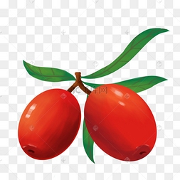 树上红枣