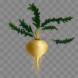 玛咖玛卡精致仿真