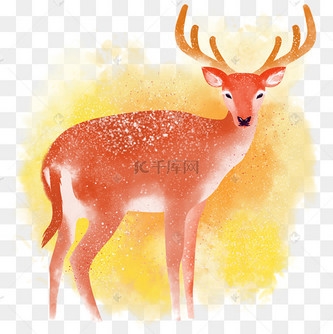 卡通手绘色彩梦幻森林精灵之金底分红鹿