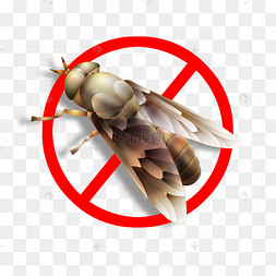 消灭四害人人有责苍蝇