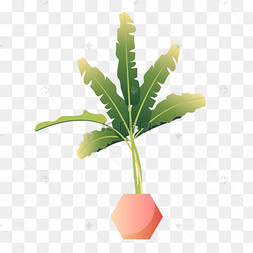 芭蕉矢量
