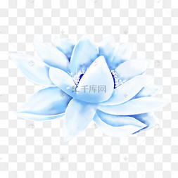 蓝色荷花