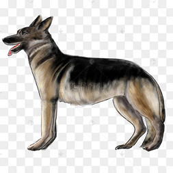 警犬抓人