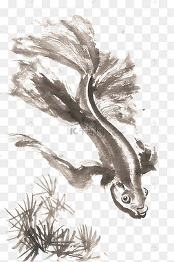 水墨画的鱼
