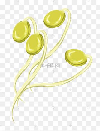 豆芽png免抠图