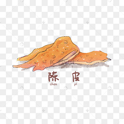 手绘彩色食材陈皮装饰画