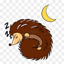 夜晚睡觉的刺猬
