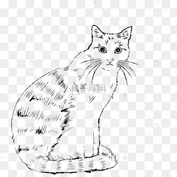 抽象线条动物涂鸦闭眼的小猫线条猫咪猫铲屎官的烦恼港风ins风插画png