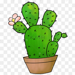 png下载ai开花的仙人球矢量素材下载 png下载psd简约手绘开花的仙人球