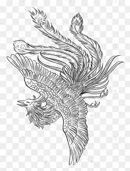 手绘凤凰