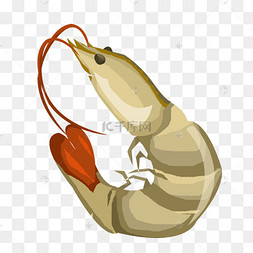 手绘海鲜青虾插画