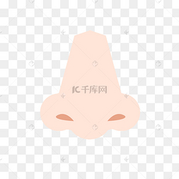 面部五官鼻子
